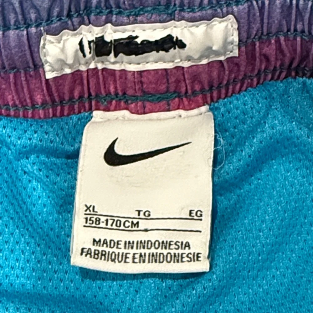 Nike Kids Blue And Pink Ombre Swim Trunks Size XL